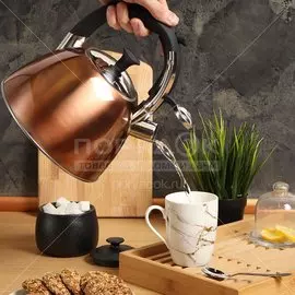 Чайник из нержавеющей стали Daniks MSY-069C со свистком, 3 л