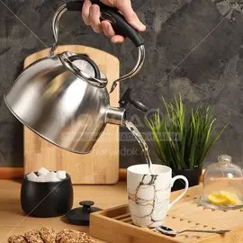 Чайник из нержавеющей стали Daniks MSY-070 со свистком, 2.5 л