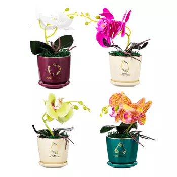 LADECOR Цветочная композиция, Орхидея в керамическом кашпо, 4 цвета, 10х35 см