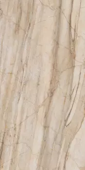 BR01 60x120x10 Непол.Рект.