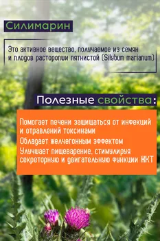 Силимарин NOW, 580 мг, 50 шт, капсулы