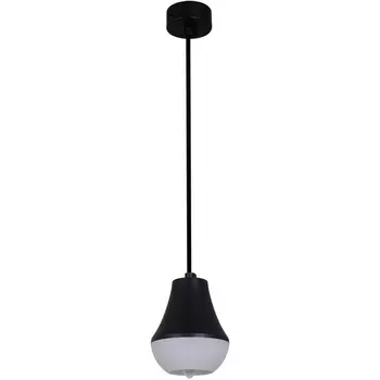 Подвесной светильник Reluce 16007-0.9-001IL E27 BK