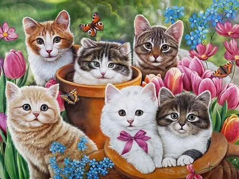 DIY алмазная живопись кошка полная круглая алмазная мозаика животное вышивка крестиком картина из стразов Настенный декор Full Round 20x25CM