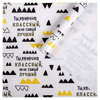 Бумага упаковочная глянцевая «Ты классный, но», 70 х 100 см