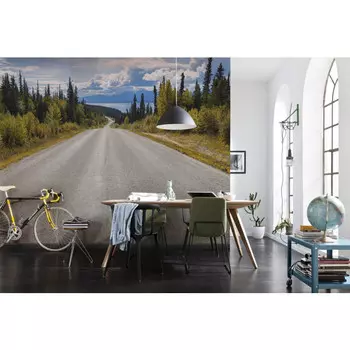 фотообои KOMAR бумажные 368х254см Atlin Road, арт.8-532