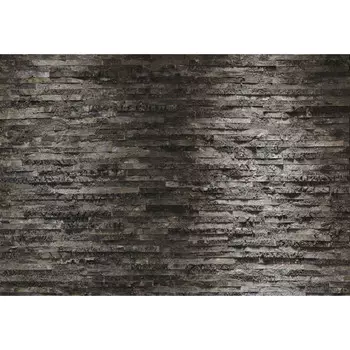 фотообои KOMAR бумажные 368х254см Birkenrinde, арт.8-700