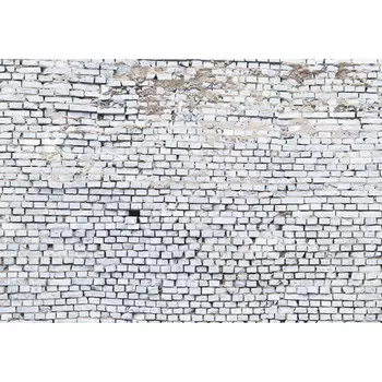 фотообои KOMAR бумажные 368х254см White Brick, арт.8-881