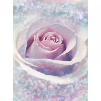 фотообои KOMAR флизелиновые 184х248см Delicate Rose, арт.XXL2-020