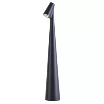 Настольная лампа Arte Lamp Fusion A3283LT-2BK
