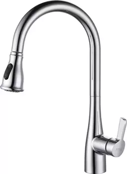 Смеситель для кухни D-K Rhein.Schiller DA1462501 хром