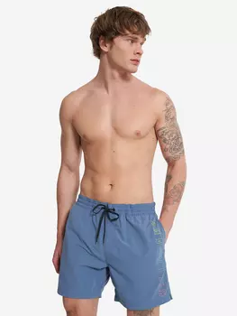 Шорты плавательные мужские Billabong All Day Heritage, Синий