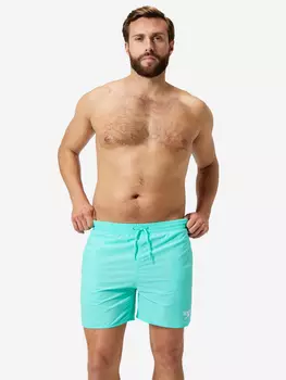 Шорты плавательные мужские Speedo Essentials, Голубой
