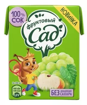 Сок фруктовый сад 0.2 л яблочно-виноградный