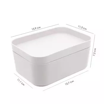 Органайзер для хранения 15.9x11.3x7.2 см полипропилен платина