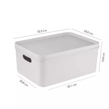 Органайзер для хранения 32.3x23x13.8 см полипропилен платина