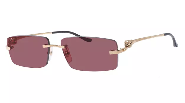 Cartier 0430S 009