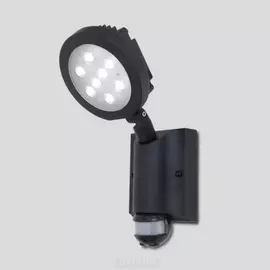 Светодиодный прожектор уличный Projeсtor 6102S-PIR (Oasis Light)