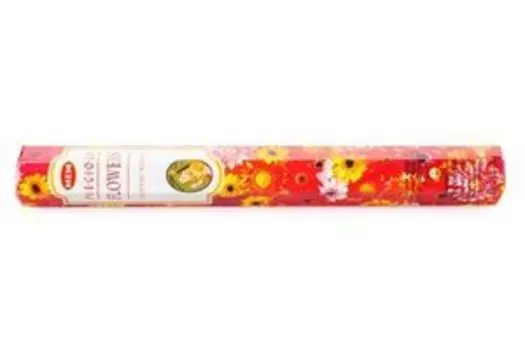Благовония HEM Декоративное Растение (Ornamental) шестигранник 20 шт