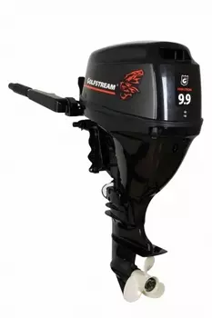4х-тактный лодочный мотор GOLFSTREAM F 9.9 BMS