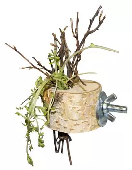 ParrotsLab PL2043 держатель веточек для птиц и грызунов (4 см.)