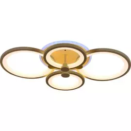 Светодиодная диммируемая люстра с ПДУ EvoLED Leto SLE200322-04RGB