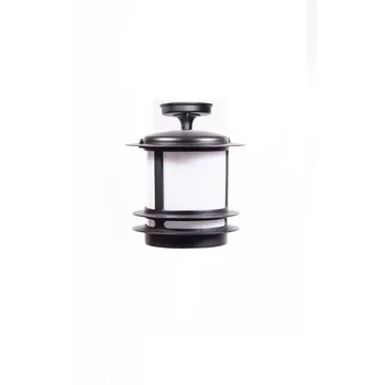 Потолочный светильник уличный IP44 Oasis Light TOKIO 68305A Bl opal в фиде фонаря