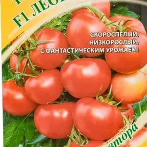 Семена Томат Леопольд F1 12 шт. автор. ЦП Гавриш