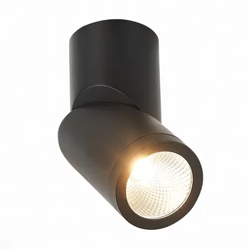 Точечный светильник влагостойкий ST Luce ST650 ST650.432.10