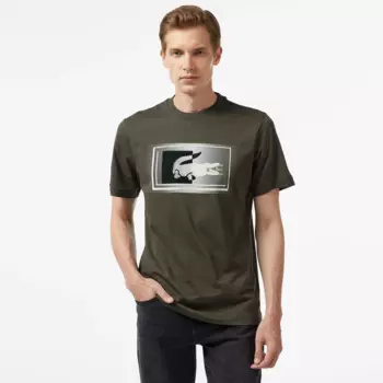 Мужская футболка Lacoste Classic Fit