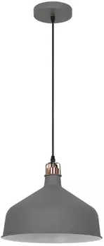Светильник подвесной Camelion PL-425L C73 макс. мощ. 60Вт, ~230В, 1хE27, интерьерный, серия "AMSTERD