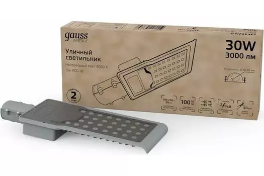 Светильник уличный Gauss 629534230 Avenue 30Вт ламп.:1шт черный/серый