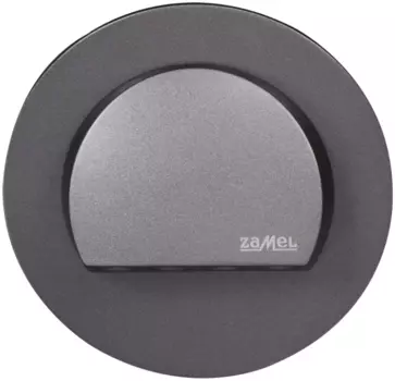Светильник Zamel 09-221-31 RUBI Графит/Хол.бел. в монт.коробку, 230V AC