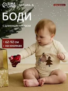 Боди