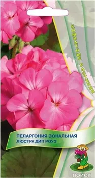 Пеларгония зональная "Поиск" Люстра Дип Роуз 5шт