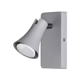 3825/1W Спот Odeon Light Reanna