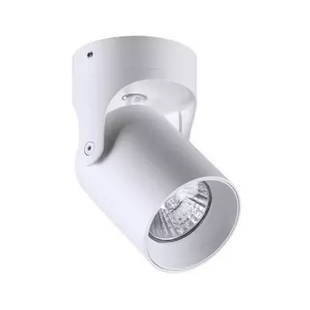 3854/1C Спот Odeon Light Corsus