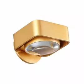 3889/6WG Настенный поворотный светодиодный светильник Odeon Light Paco