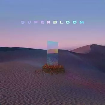 Виниловая пластинка MisterWives - Superbloom