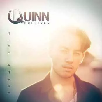 Виниловая пластинка Quinn Sullivan – Wide Awake LP