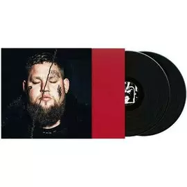 Виниловая пластинка Rag'n'Bone Man – Life By Misadventure 2LP