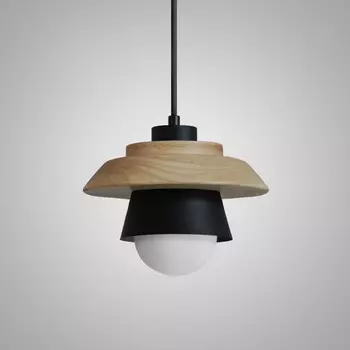 Подвесной светильник Eco Черный ImperiumLoft ECO1 (101549-26)