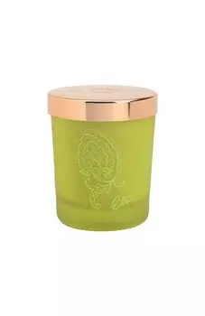 Парфюмированная свеча Dafne (170g) Etro