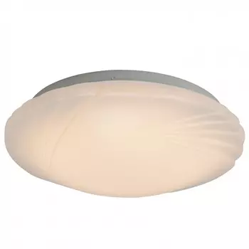 Светильник потолочный Brilliant FIALA G94216/05