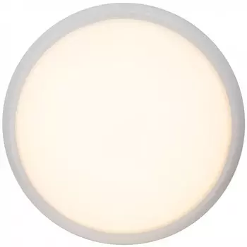 Светильник потолочный Brilliant VIGOR G94141/05