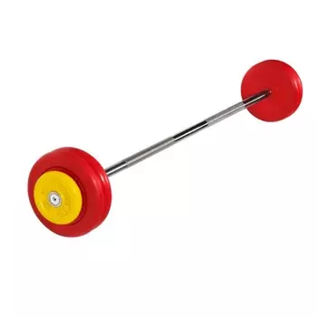 Штанга неразборная MB Barbell с цветными дисками, 25 мм, 27,5 кг MB-BarMW-C27,5