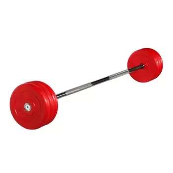 Штанга неразборная MB Barbell с цветными дисками, 25 мм, 35 кг MB-BarMW-C35