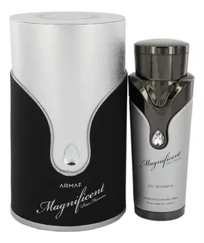 Magnificent Pour Homme: парфюмерная вода 100мл