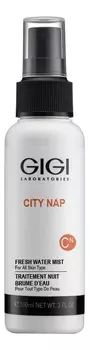 Лосьон-спрей для лица City Nap Fresh Water Mist 100мл