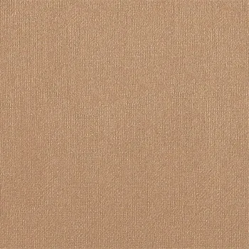 Бумага для пастели "Палаццо" 50x70 см 160 г цвет бежевый