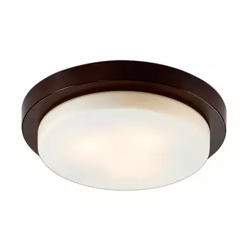 Потолочный светильник Odeon Light Holger 2744/3C